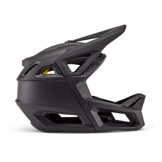 Proframe Helmet