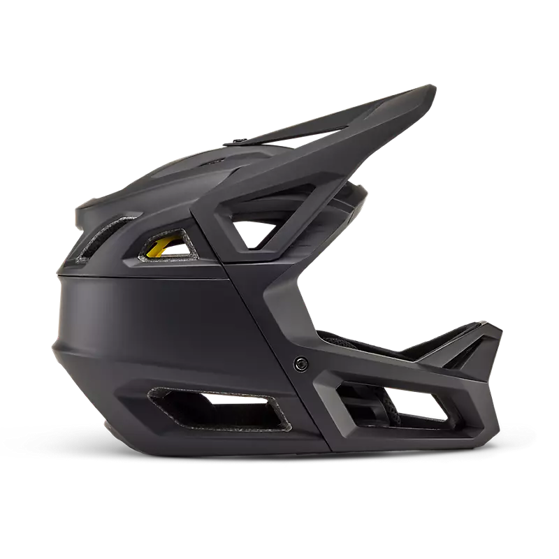 Proframe Helmet