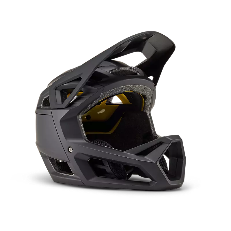 Proframe Helmet