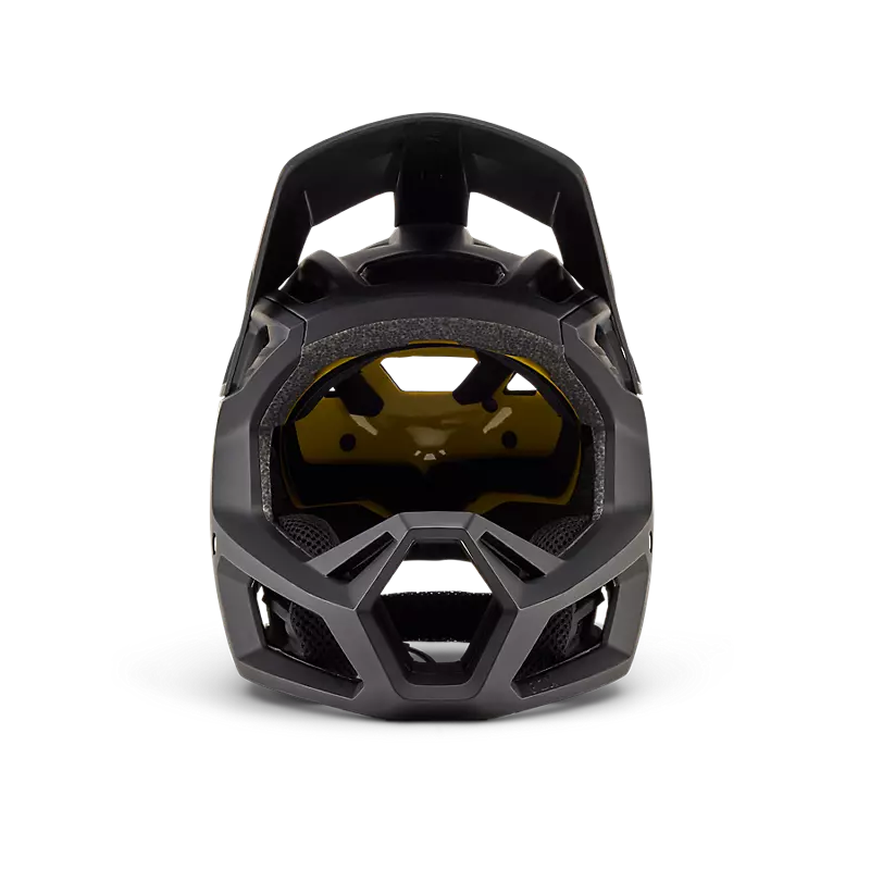 Proframe Helmet