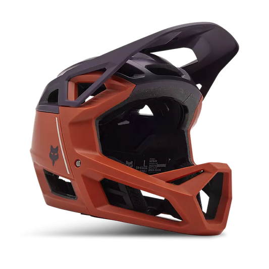 Proframe Cylzo Helmet