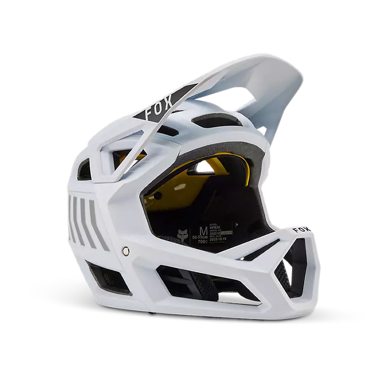 Proframe Nace Helmet